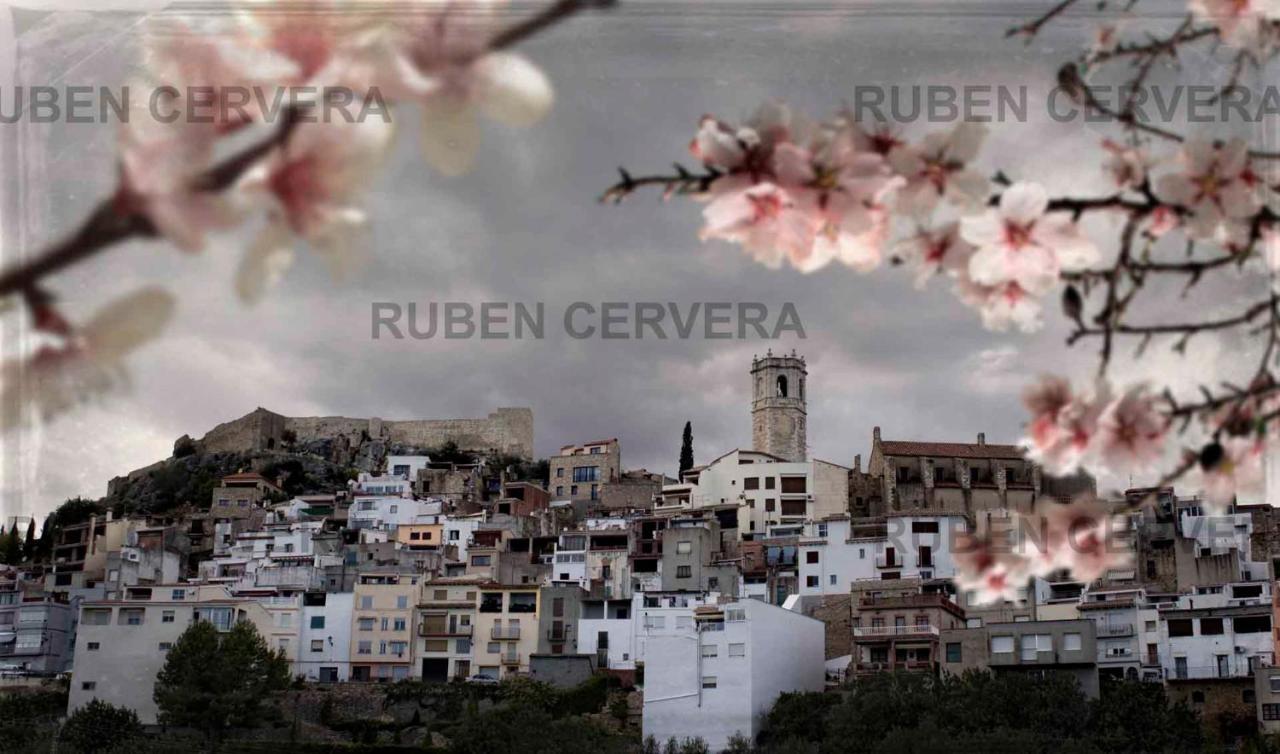 Cervera del MaestreHabitour - Casa Palmira公寓 外观 照片